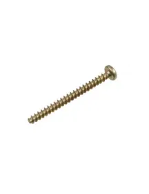 Гвинт кріплення нижнього жорна кавомолки Philips Saeco T10 TCB 129931002