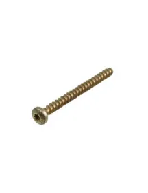 Гвинт кріплення нижнього жорна кавомолки Philips Saeco T10 TCB 129931002