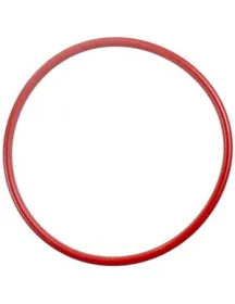 Прокладка O-Ring 176 бойлера для кавомашини Philips Saeco 140322962 Прокладка O-Ring 176 бойлера для кавомашини Philips Saeco 140322962