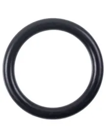 Прокладка O-Ring 17,5x2,8 мм контуру опалення теплообмінника для газового котла Ferroli Domina 39837690 Прокладка O-Ring 17,5x2,8 мм контуру опалення теплообмінника для газового котла Ferroli Domina 39…