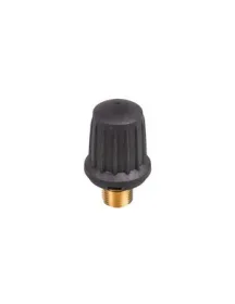 Karcher 4.590-105.0 Пробка із захисним клапаном для пароочисника