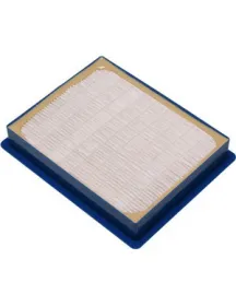 Фільтр вихідний HEPA13 FC8038/01 432200494132 для пилососа Philips Фільтр вихідний HEPA13 FC8038/01 432200494132 для пилососа Philips