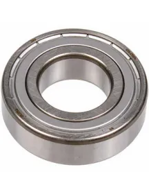 Подшипник 6205 SKF 481252028138 2Z (25x52x15)