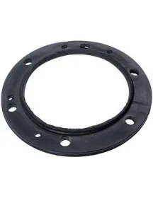 Прокладка під фланець D=116/170mm 50266818009 для бойлера Electrolux