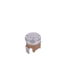 Термостат для парогенератора DeLonghi 1NT02L-5072 6A 5228105000 Термостат для парогенератора DeLonghi 1NT02L-5072 6A 5228105000