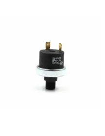 Реле давления воды для газового котла Italtherm 549000041