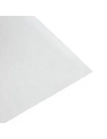 Фільтр універсальний F9001 для пилососа 300x228mm Electrolux 900196931