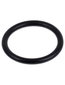 Набір прокладок O-Ring 19*15*2 мм (10 шт.) теплообмінника ГВП для газового котла Vaillant 981163 Набір прокладок O-Ring 19*15*2 мм (10 шт.) теплообмінника ГВП для газового котла Vaillant 981163