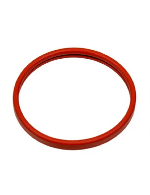 Прокладка фільтра-сито D=54mm для кавоварки Philips Saeco 996530015878