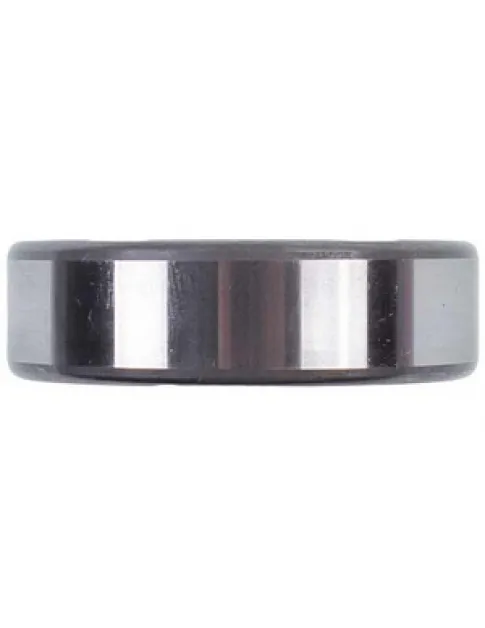 Подшипник 6205 SKF C00013563 2Z (25x52x15) в прозрачном пакете