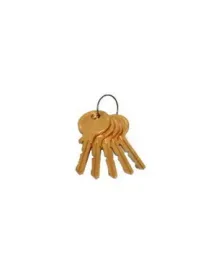 Ключ (стандартный) замка для кофемашины Philips Saeco AJ306A NV02.242 Ключ (стандартный) замка для кофемашины Philips Saeco AJ306A NV02.242