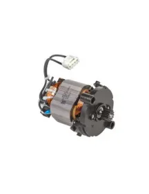 Двигун для слайсера Moulinex SS-194151