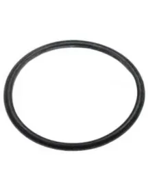 Уплотнитель фильтра контейнера для пылесоса Rowenta SS-2230003573