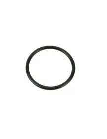 Прокладка O-Ring 2062 для кавомашини Philips Saeco WGADM0041/107